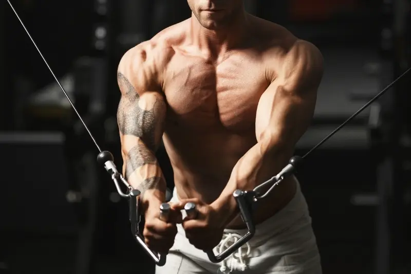 Como conquistar um corpo mais musculoso