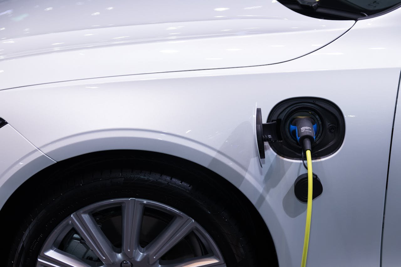 Seguro Dolphin Mini: quanto custa proteger o elétrico!